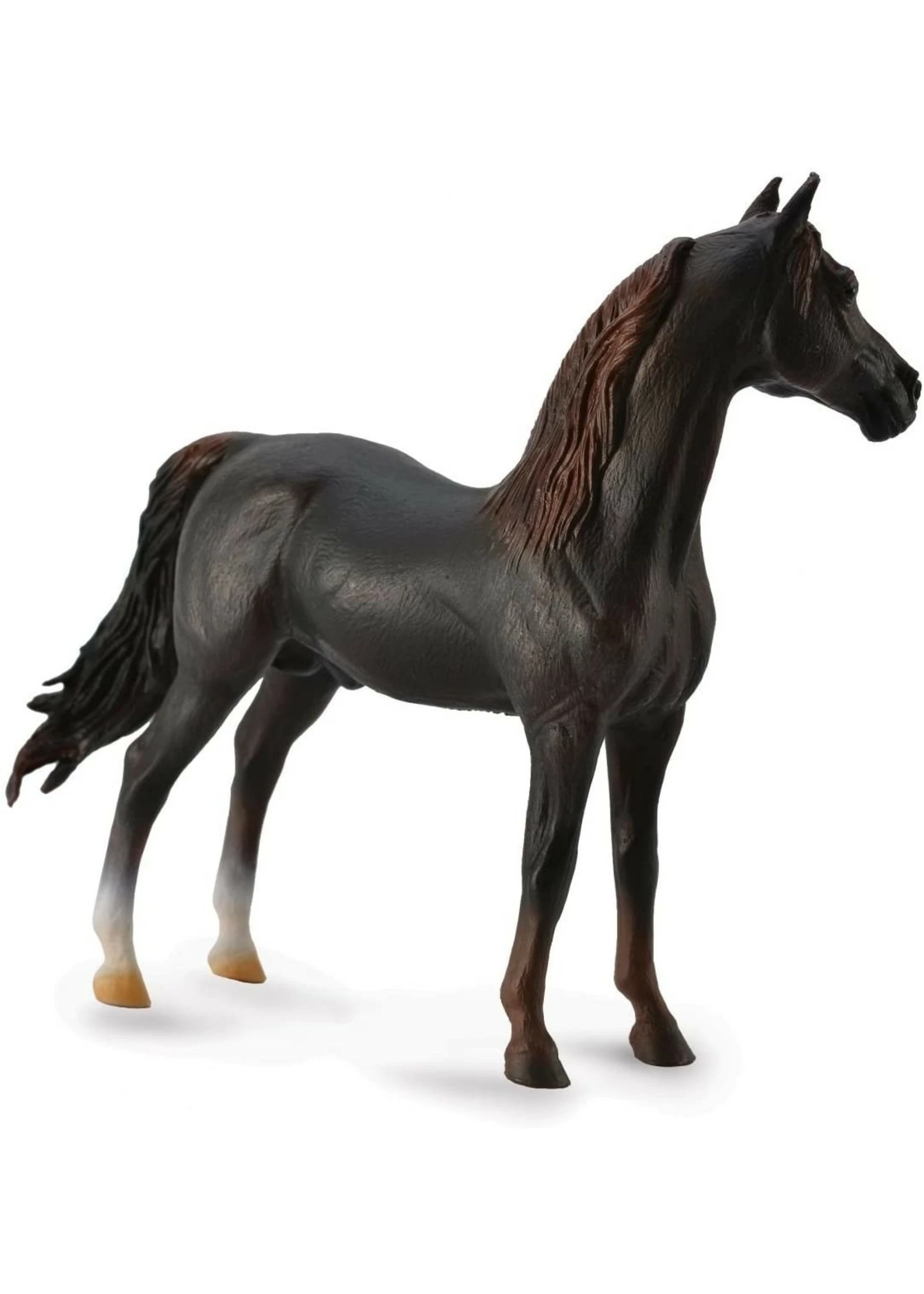 Breyer Chestnut Morgan Stallion