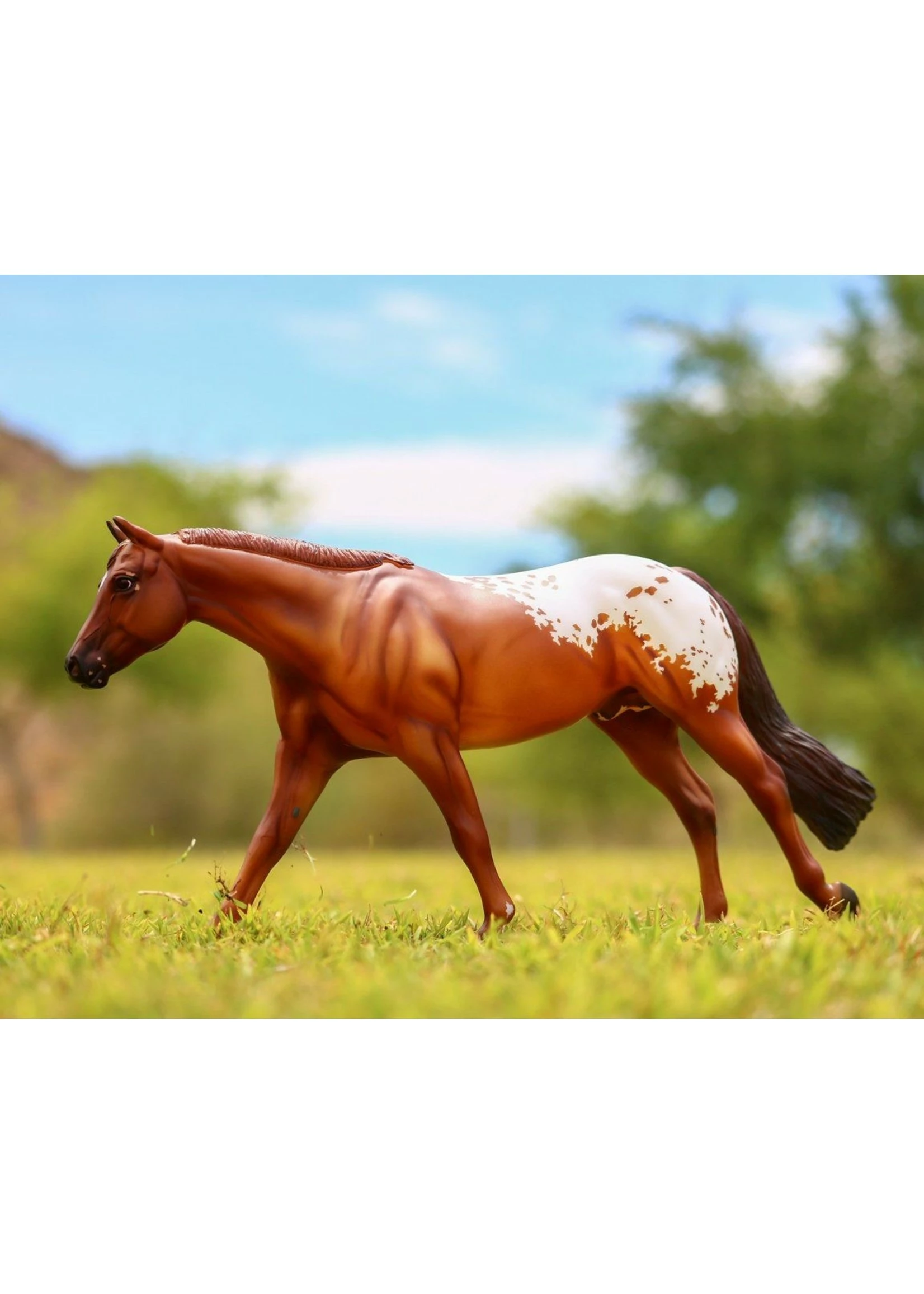 Breyer Chocolately - Image 2