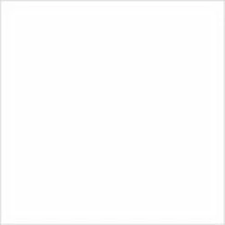 Mission Models P-001 - White 1oz