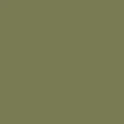 Mission Models P-020 - Olive Drab Faded 1, FS 34088 1oz